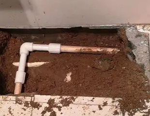 景东测漏水哪家好