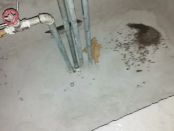 景东卫生间测漏水价格明细