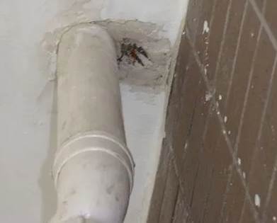 景东漏水检测哪家好